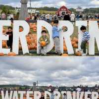 Water Drinker Family Farm And Garden