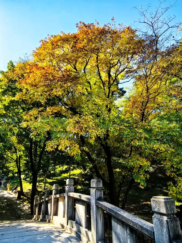 Best Places to See Fall Foliage in Beijing｜Visit the Most Beautiful Gardens in Beijing in Fall