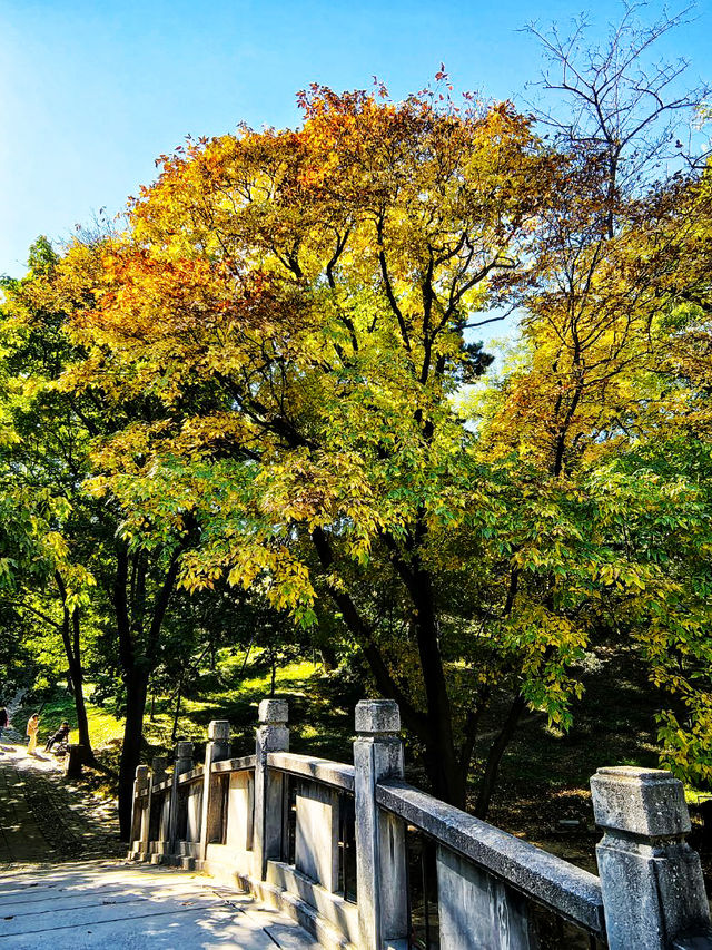 北京賞秋好去處｜逛秋日京城最美園林。