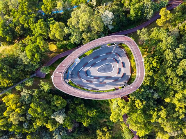深圳全新打卡勝地 | 龍崗大嶺鼓公園  家人們，今天給大家分享一個深圳的寶藏打卡地——龍崗大嶺。