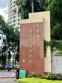 廣州天河區樹木公園|地鐵直達的草地溪流森林地。