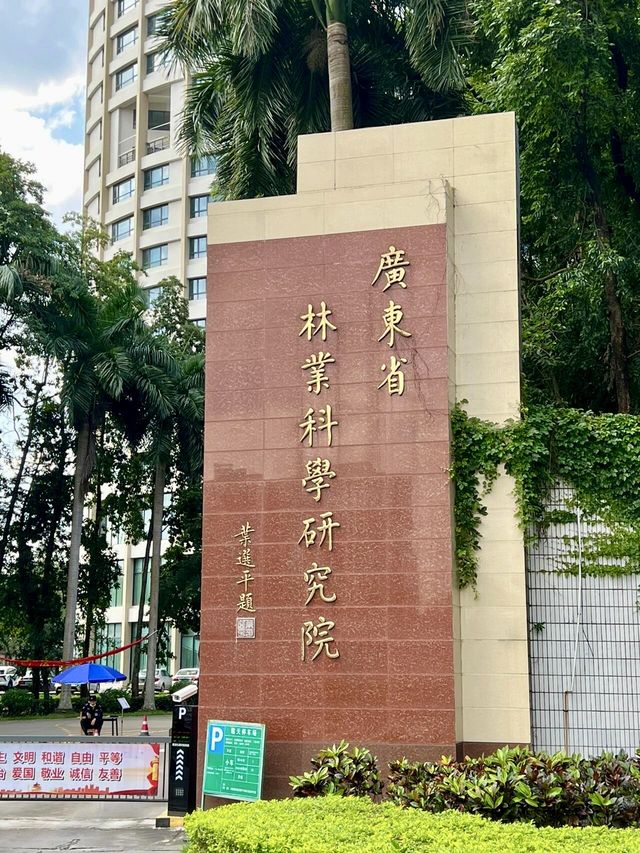 廣州天河區樹木公園|地鐵直達的草地溪流森林地。