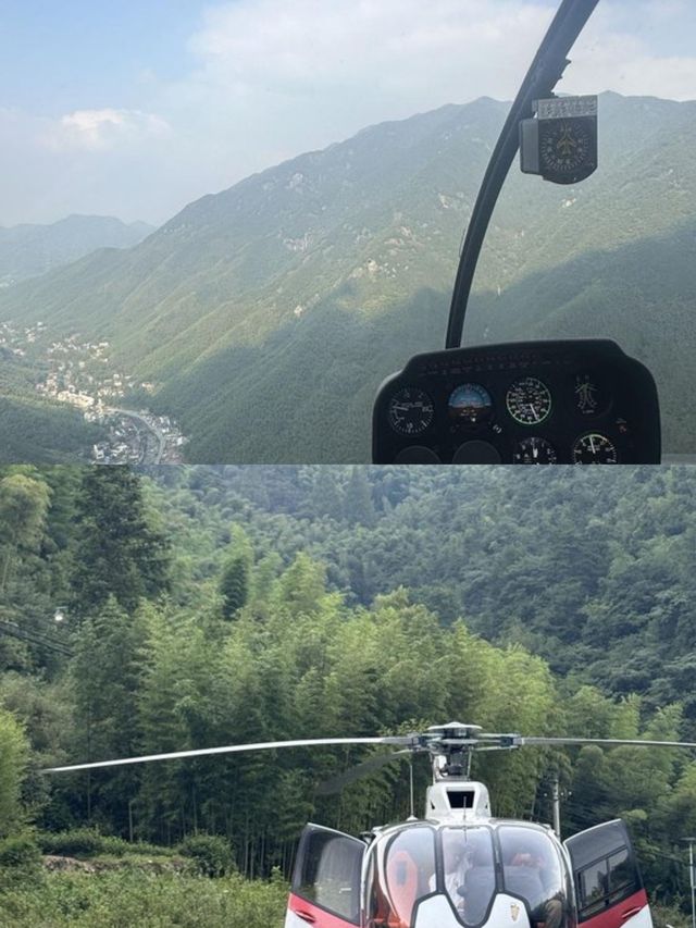 隱於安吉竹林溪谷秘境！270°躺看星空。