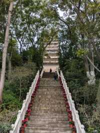 Day trip to the Leshan Buddha from Xi'an