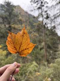 成都一日往返保姆級攻略，阿爾溝徒步拿下！