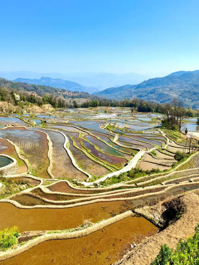 Yuanyang 2-Day Itinerary: A Must-Read Before You Go!