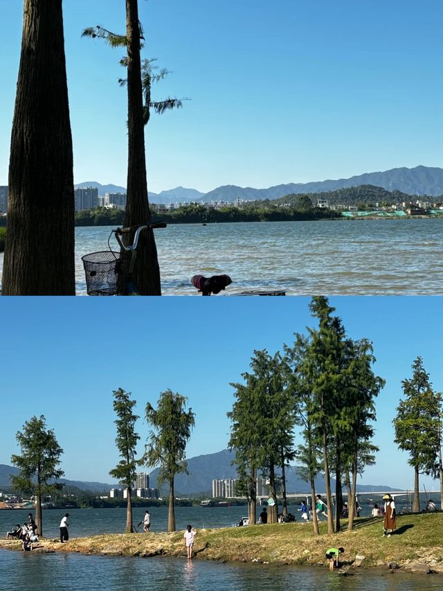 清遠這個公園露營野餐太太太讚了。