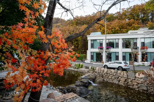 LOHAS vô biên, hành trình phục vụ tuyệt vời nhất của bạn.