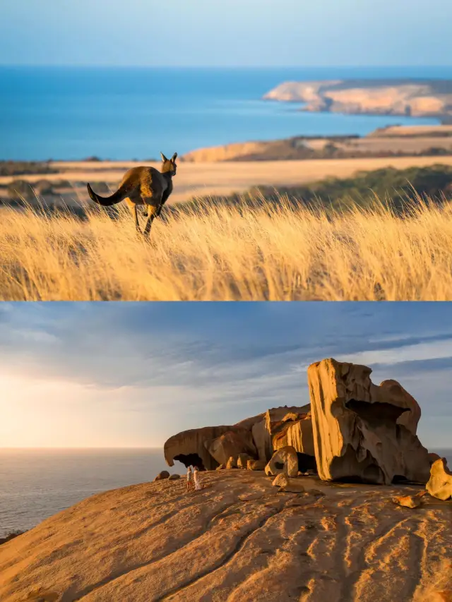 If you want to travel abroad, South Australia is a great choice. 