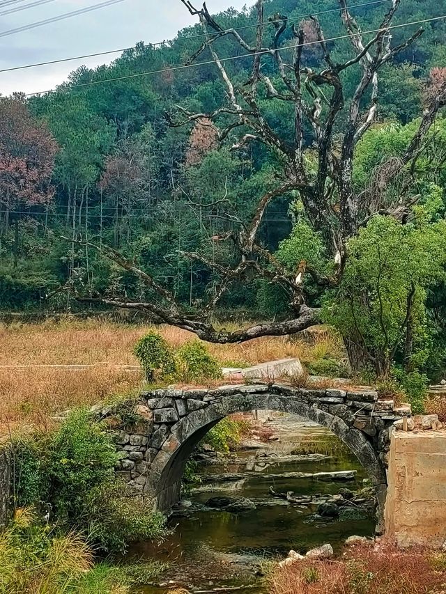 白田村古石橋及山寨石門。