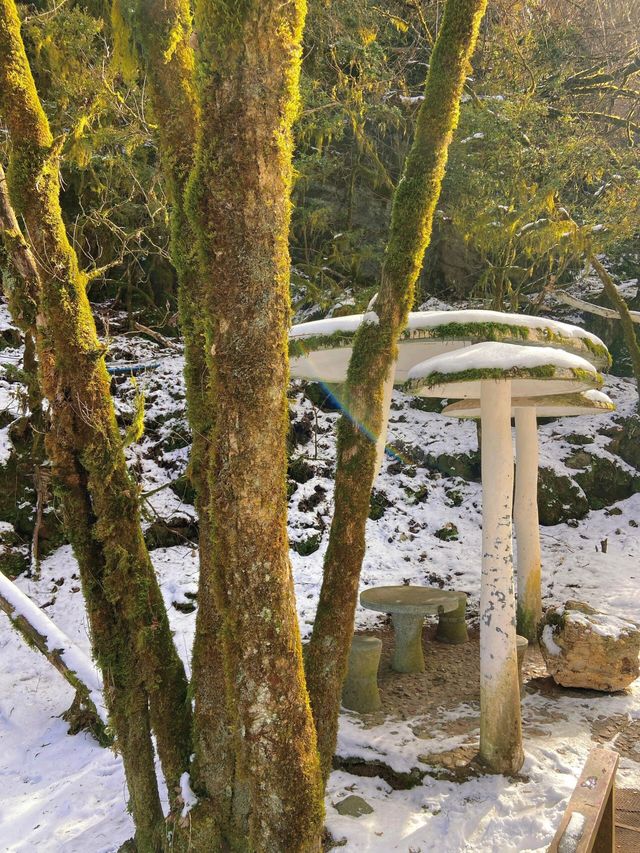 神農架旅行攻略