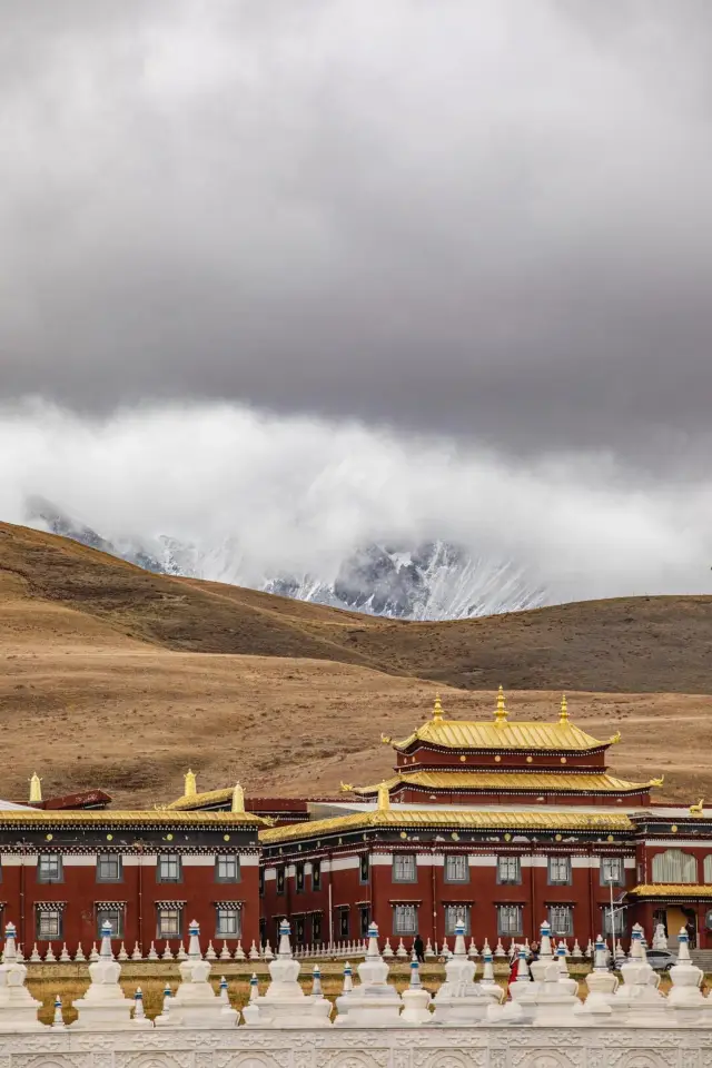 ทุ่งหญ้าถากง