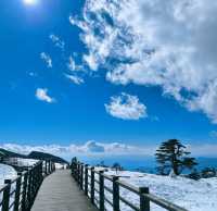 到看雪山的季節啦！！！