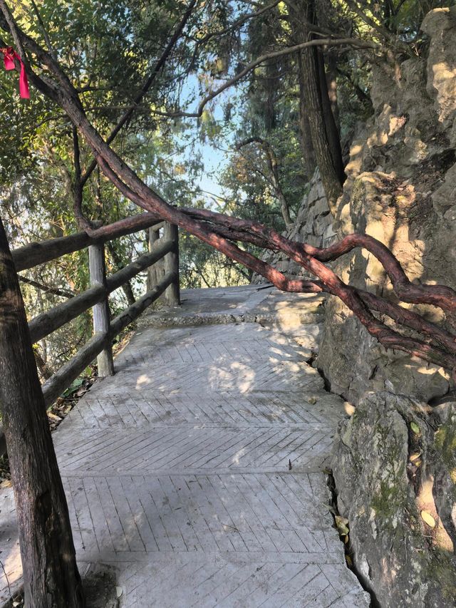 綿陽北川九皇山｜不一樣的美
