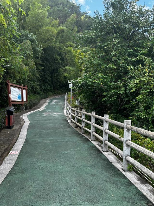 探索天然氧吧，週末好去處！