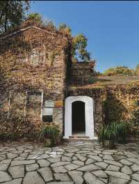 南岸秘密花園——重慶南山植物園