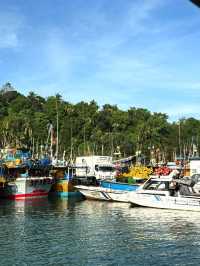 Magical Experience of Whale Watching in Mirissa