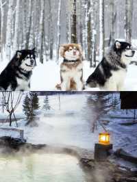 長白山·柏悦｜冬日限定的冰雪浪漫