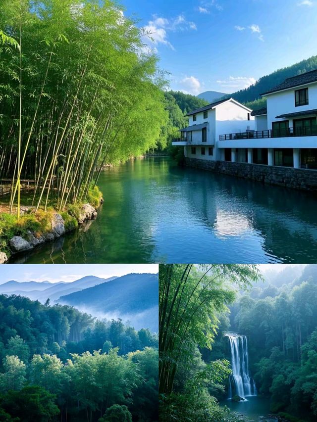 安吉 浮憩谷 — 大自然對我而言是充滿治癒力的平靜又強烈