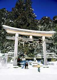 樂在大雪紛飛—日本長野