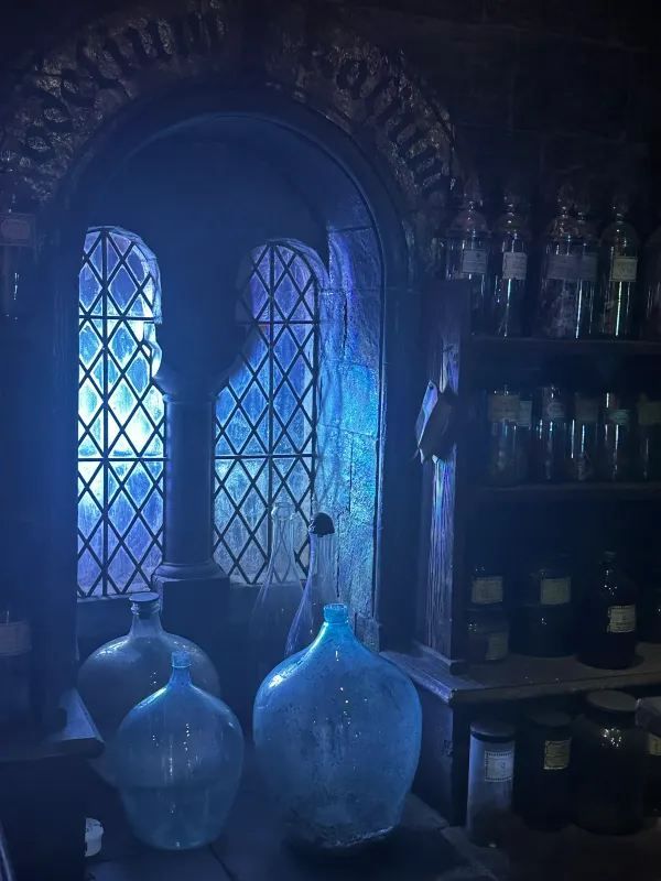 Exploring the Harry Potter Studio Tour in London