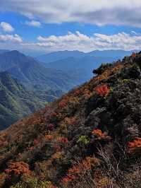 冬遊重慶等地 美景與火鍋更配哦