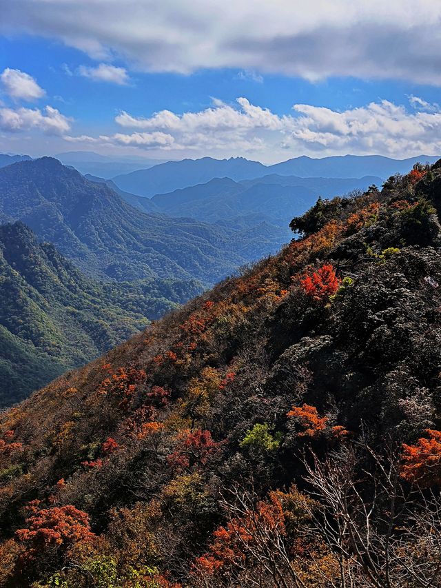 冬遊重慶等地 美景與火鍋更配哦