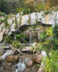 雲蘿植物園，夢幻植物世界等你來探索！