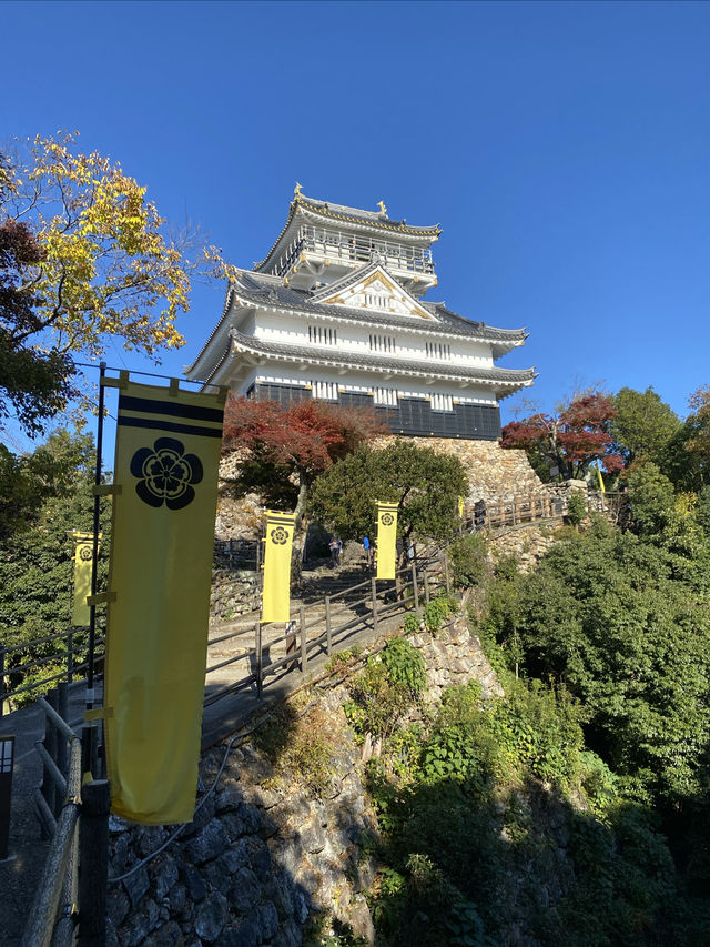 日本岐阜城 登高望遠