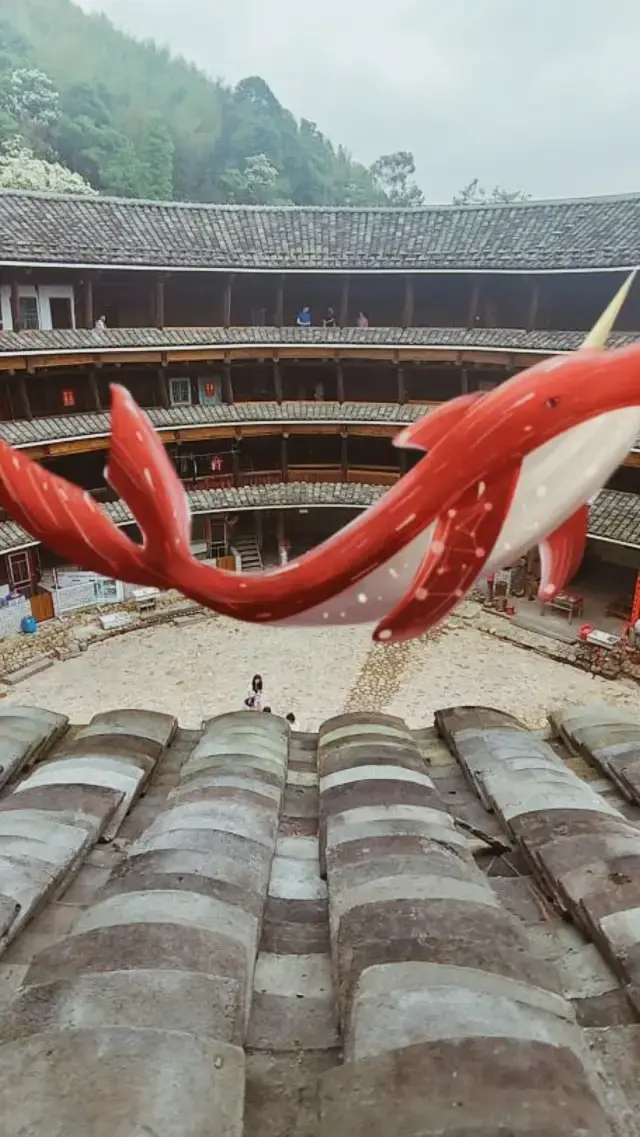 沒想到福建居然有這麼美的地方呀！