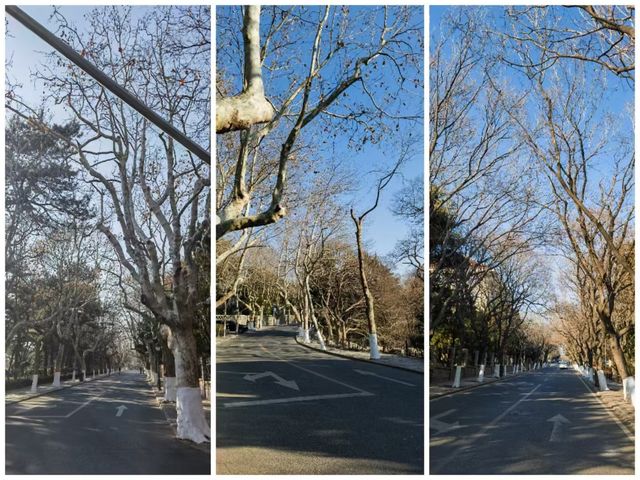 青島旅遊攻略