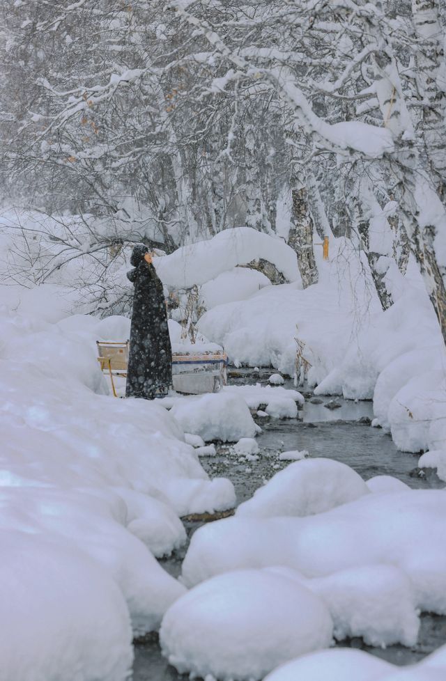 新疆禾木｜落雪成詩，芳華盡收