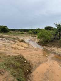 斯里蘭卡9日遊免簽出行 話咁快就走得