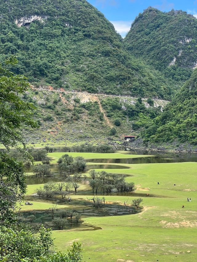廣西百色隴卡賴｜當新疆草原遇上桂林山水