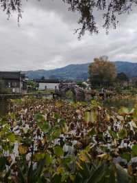徽州古村｜遊呈坎一生無坎，人少景美巨出片！