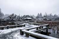 雪中漫步，尋覓詩畫江南