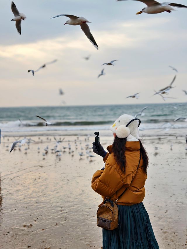 青島旅遊景點攻略