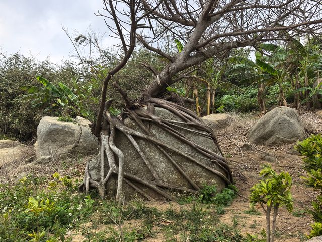 火箭發射最佳觀測點——石頭公園
