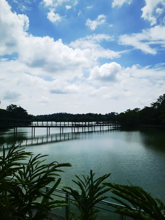 Singapore's Top Family Spot - River Safari