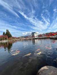 泉州-龍岩-漳州探秘 邂逅古風韻味與歷史遺跡