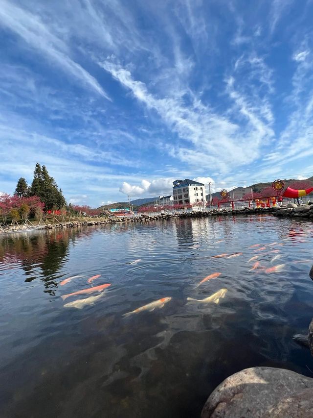 泉州-龍岩-漳州探秘 邂逅古風韻味與歷史遺跡