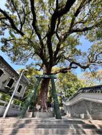 周末來中山遊玩 懶人直接複製這條路線