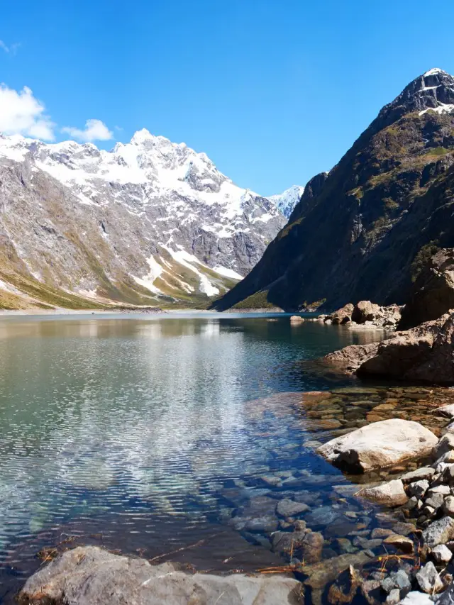 뉴질랜드 8일 여행 완벽 가이드 실패 없는 여행