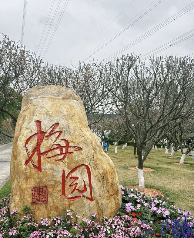 深圳賞梅指南：與大自然親密接觸