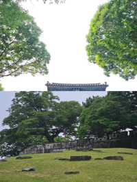 韓國晉州：歷史文化與自然美景的絕佳旅遊目的地