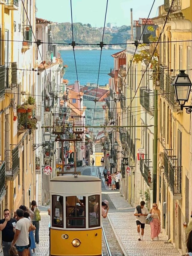 A Mountain City and the Colorful Lisbon🇵🇹