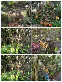 冬日裏的太原植物園