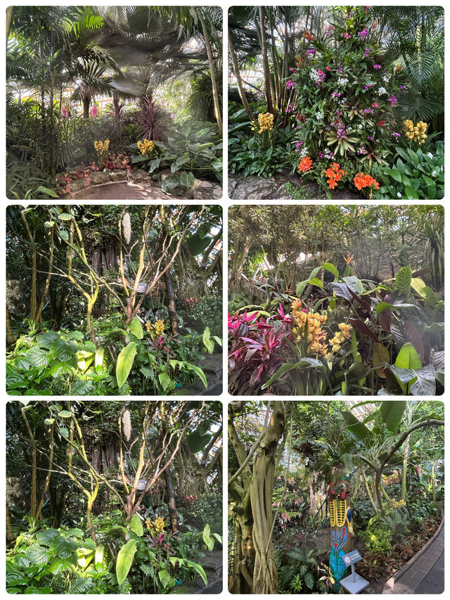 冬日裏的太原植物園