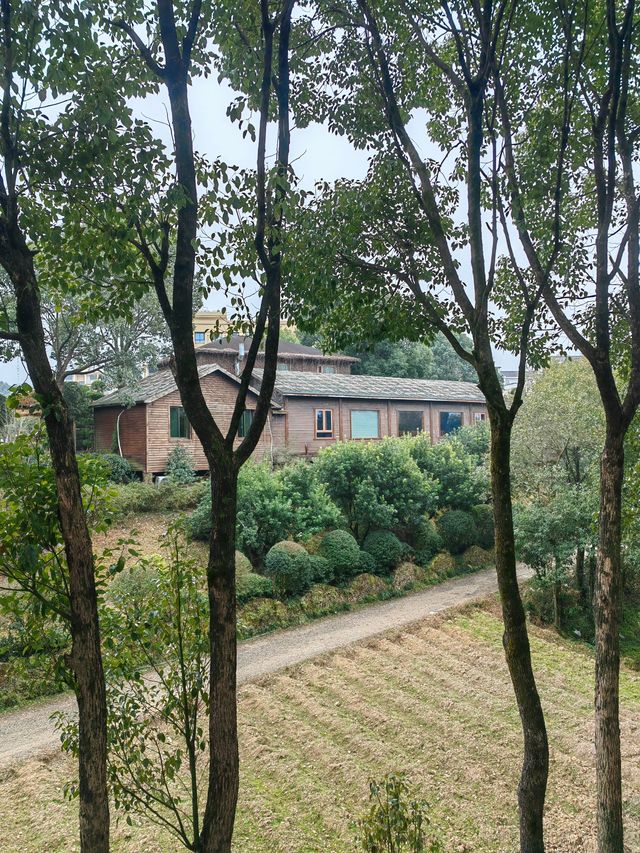 在空中無痛觀看百丈漈