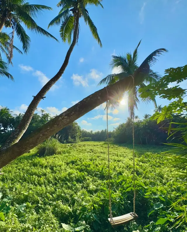 Wenchang Serendipity｜Everyone says this is a mini Bali...